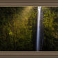 Akaka Falls Aloha