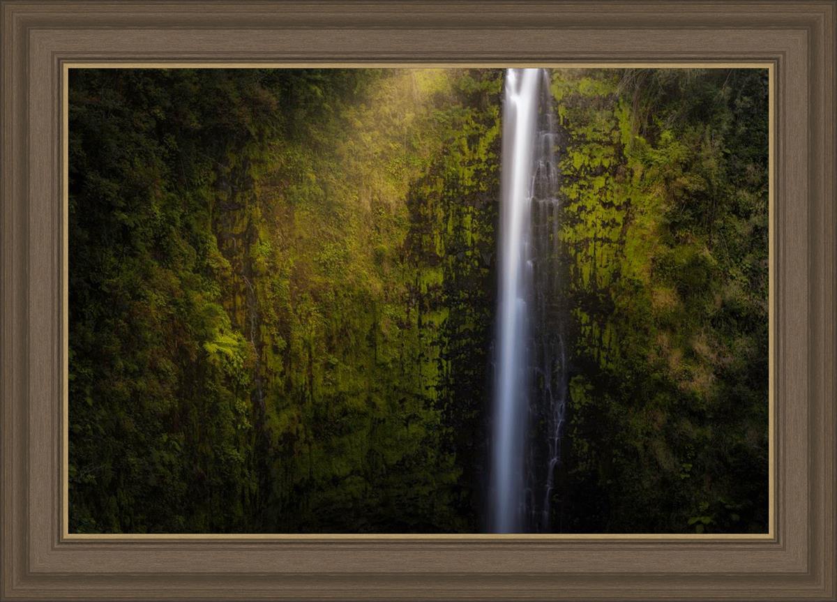 Akaka Falls Aloha