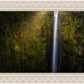 Akaka Falls Aloha