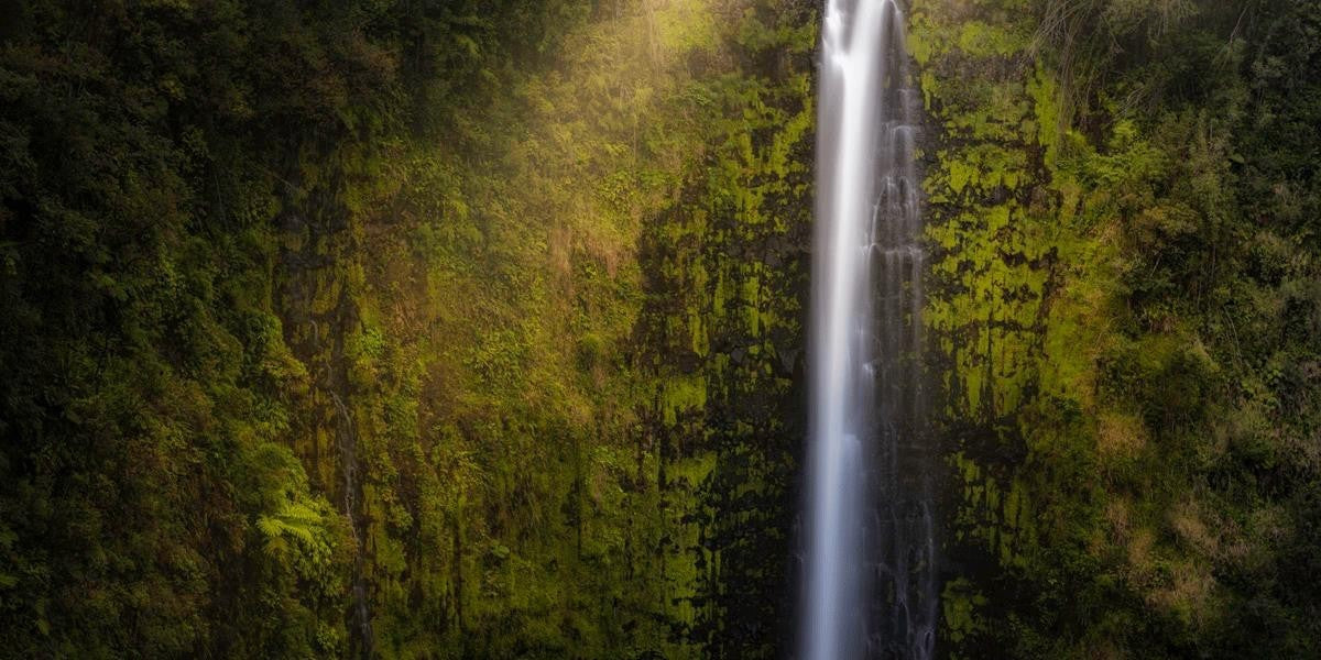 Akaka Falls Aloha Gallery Wrap