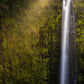 Akaka Falls Aloha
