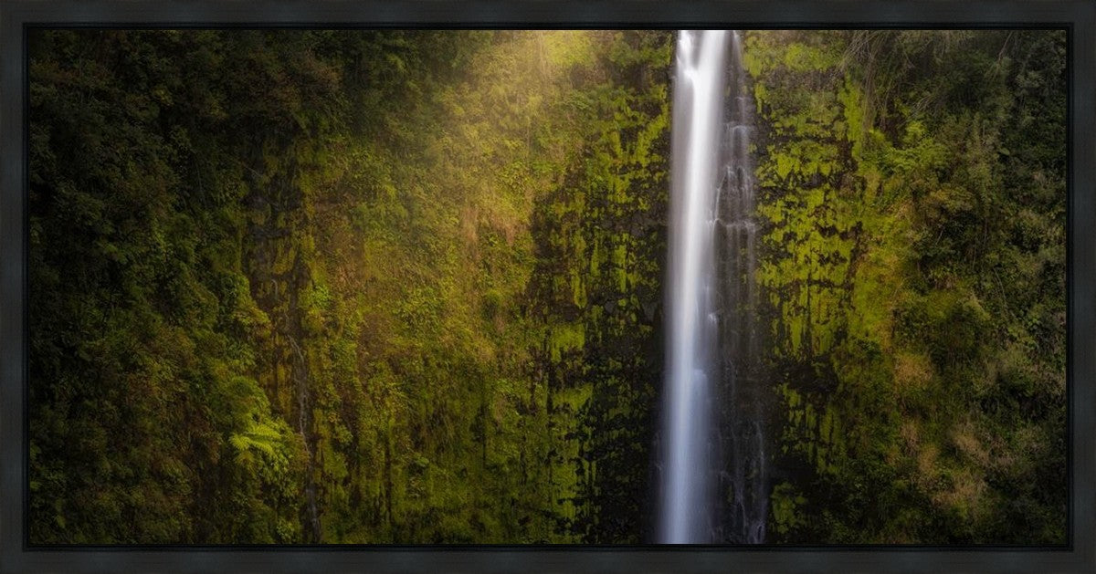 Akaka Falls Aloha Gallery Wrap