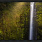 Akaka Falls Aloha