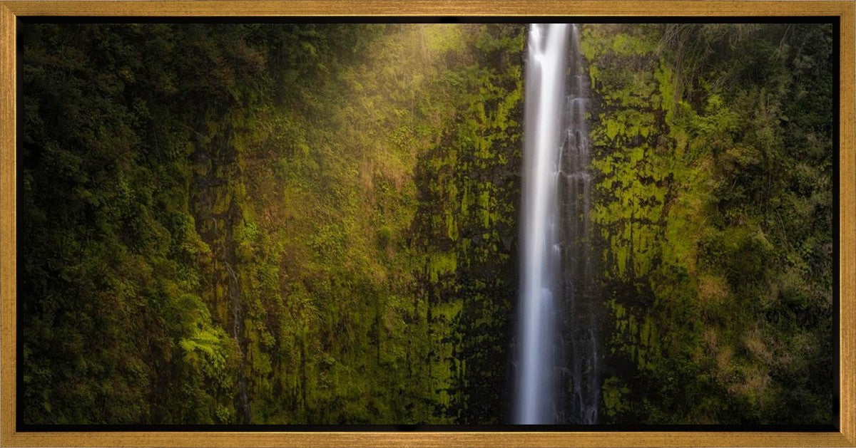 Akaka Falls Aloha Gallery Wrap