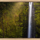 Akaka Falls Aloha