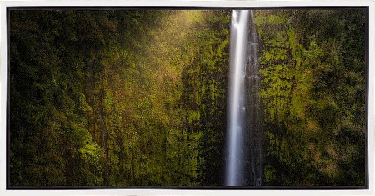 Akaka Falls Aloha Gallery Wrap