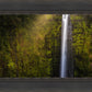 Akaka Falls Aloha
