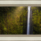 Akaka Falls Aloha