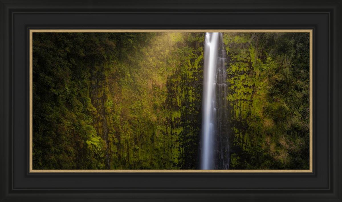 Akaka Falls Aloha