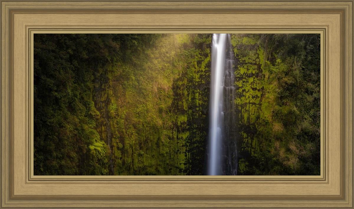 Akaka Falls Aloha