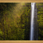 Akaka Falls Aloha