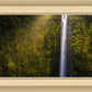 Akaka Falls Aloha