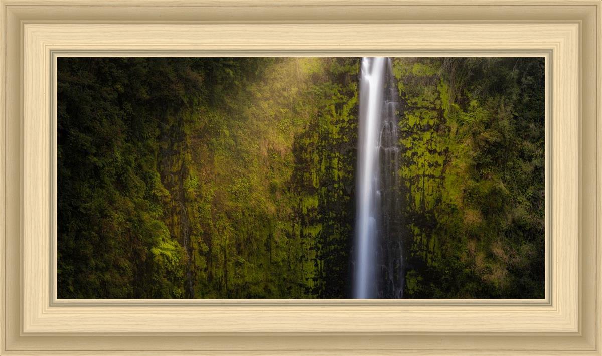 Akaka Falls Aloha