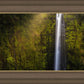 Akaka Falls Aloha