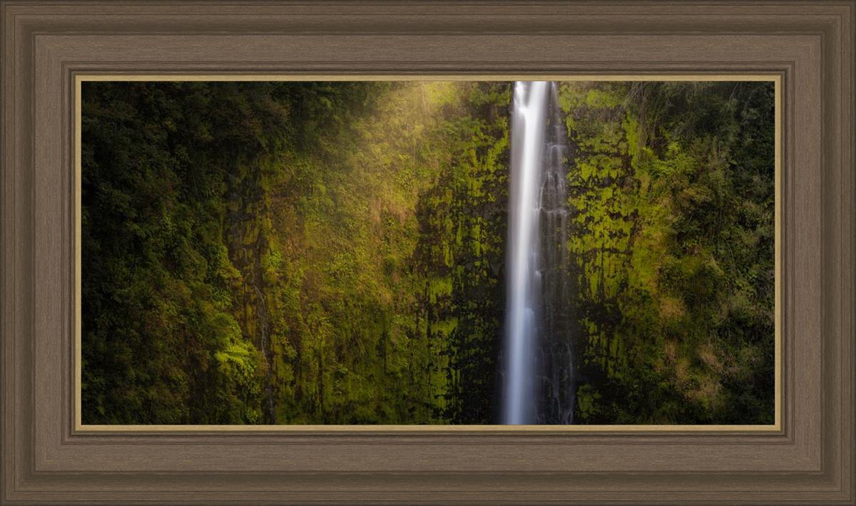 Akaka Falls Aloha