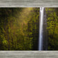 Akaka Falls Aloha