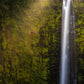 Akaka Falls Aloha
