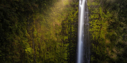 Akaka Falls Aloha