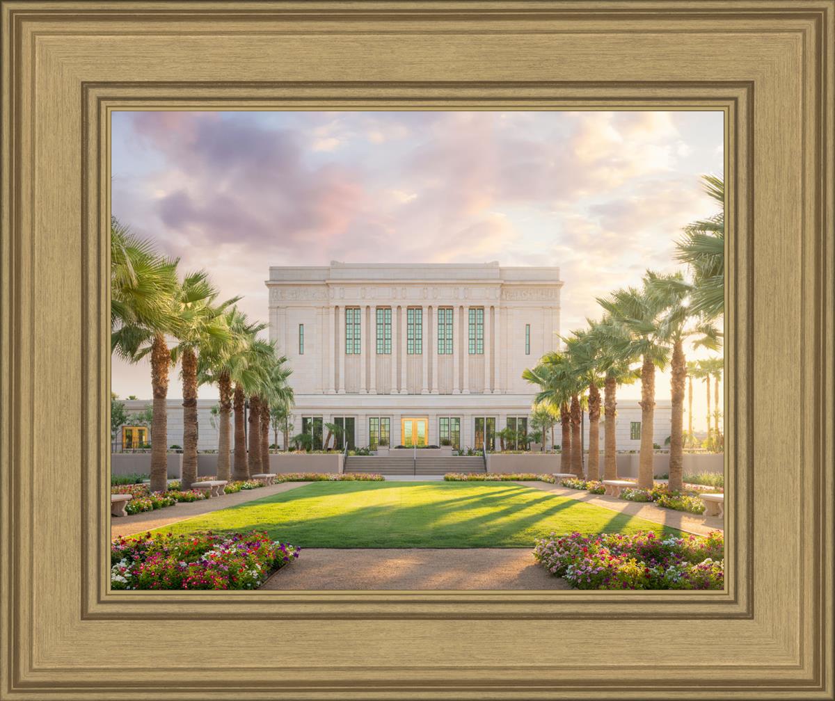 Mesa Oasis