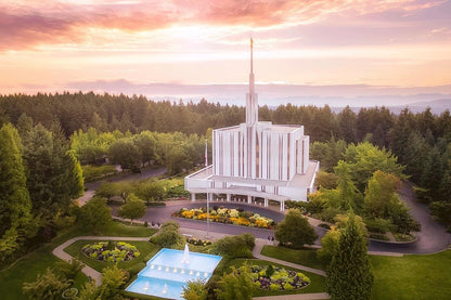 Seattle From on High