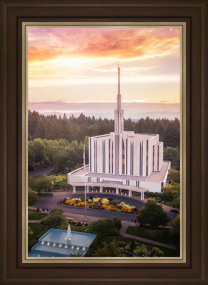 Seattle From on High