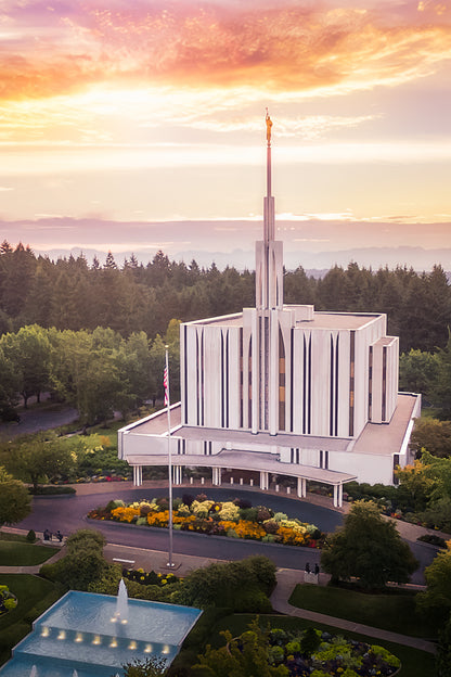Seattle From on High