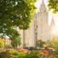 Salt Lake - The Lord is My Light