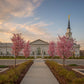 Hartford Temple Pathway