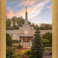 St. Paul Sacred Garden Sunset