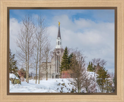 Boston Winter Morning