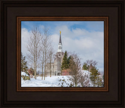 Boston Winter Morning