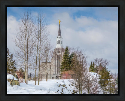 Boston Winter Morning