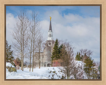 Boston Winter Morning