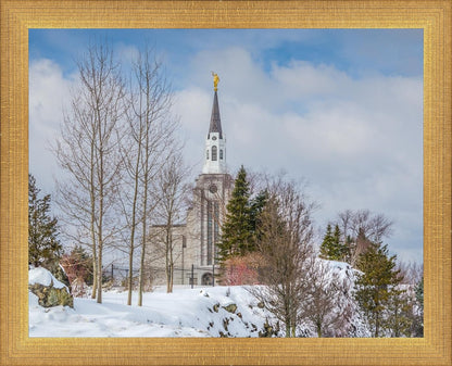 Boston Winter Morning