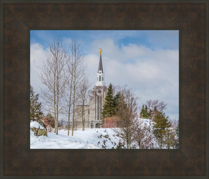 Boston Winter Morning