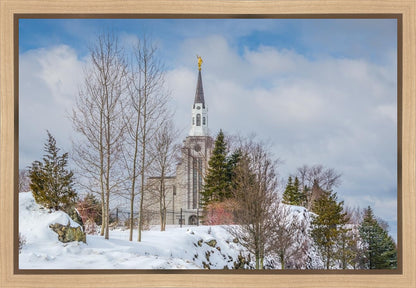 Boston Winter Morning