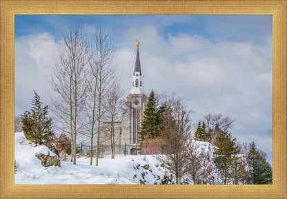 Boston Winter Morning