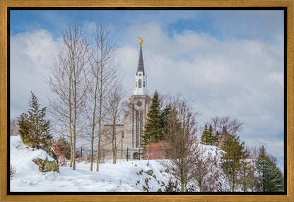 Boston Winter Morning