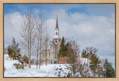 Boston Winter Morning