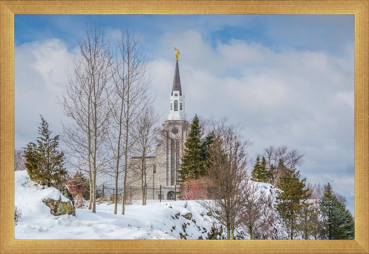 Boston Winter Morning