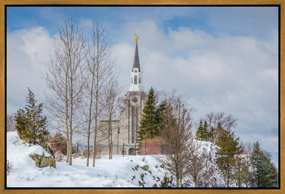 Boston Winter Morning