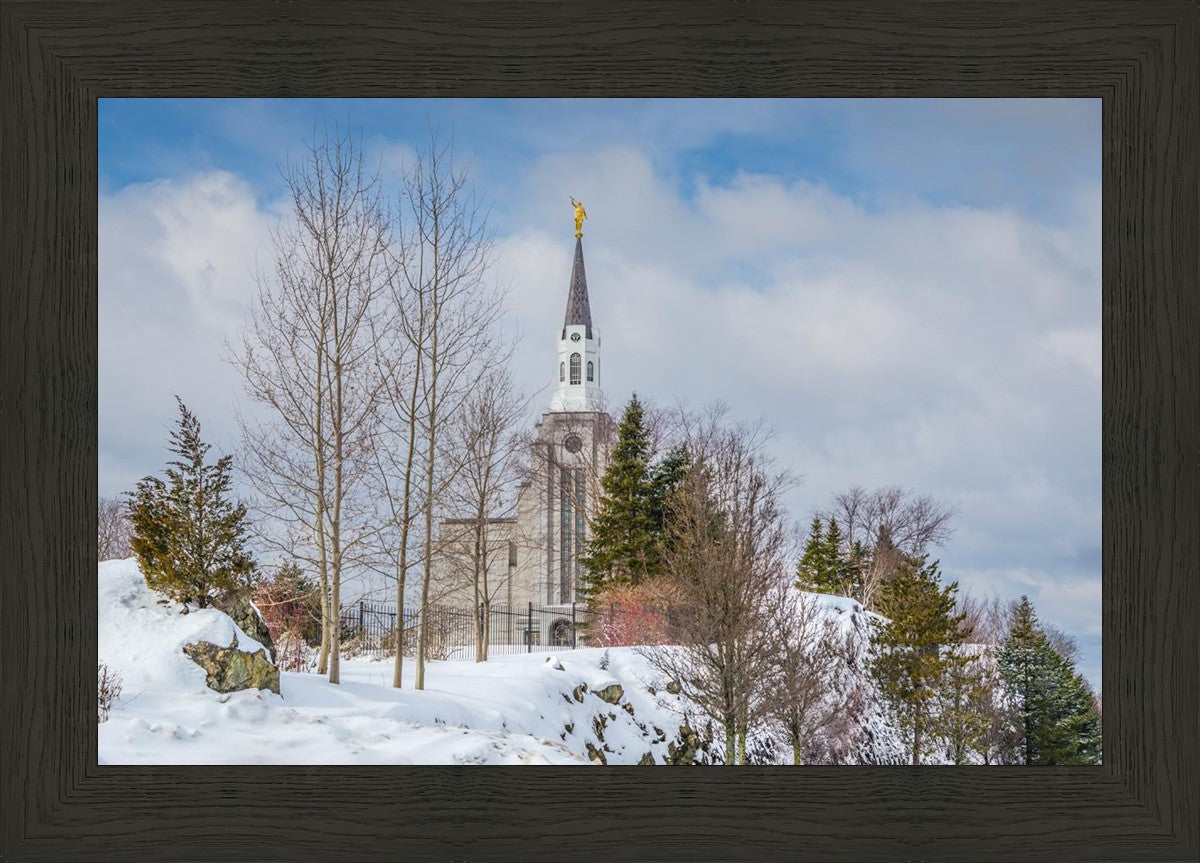 Boston Winter Morning