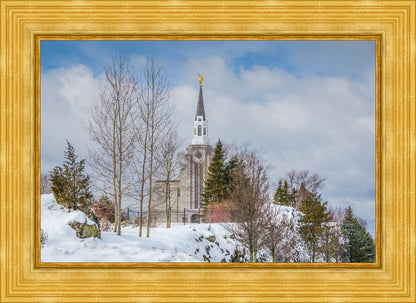 Boston Winter Morning