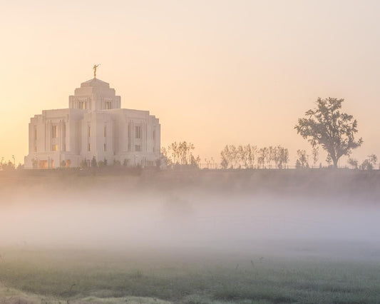 Meridian Morning Fog Gallery Wrap