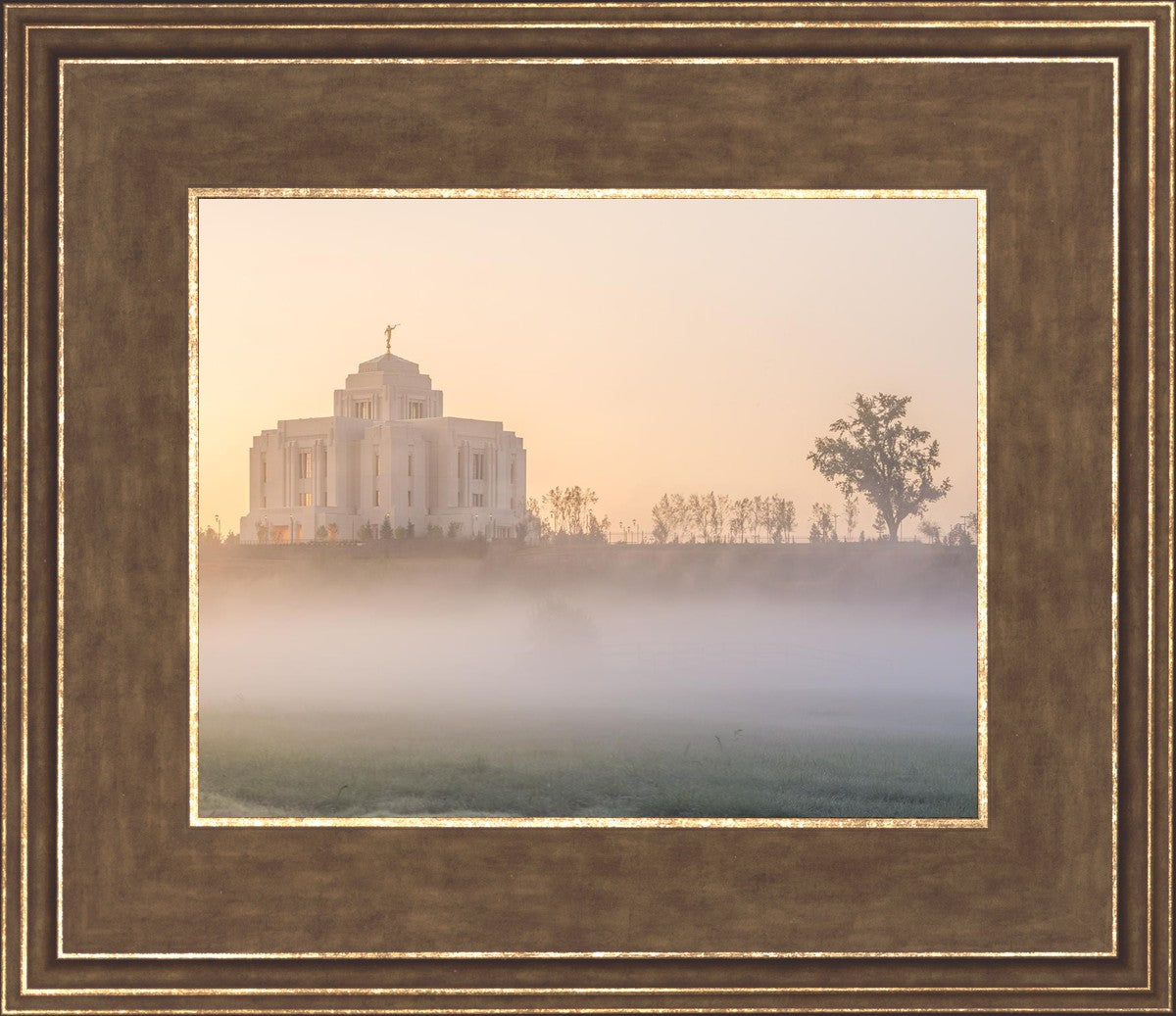 Meridian Morning Fog