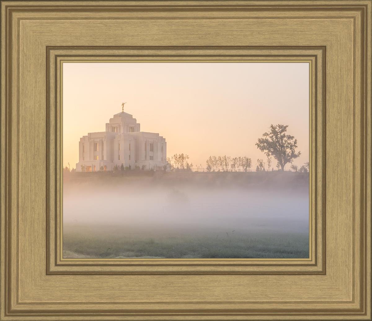 Meridian Morning Fog