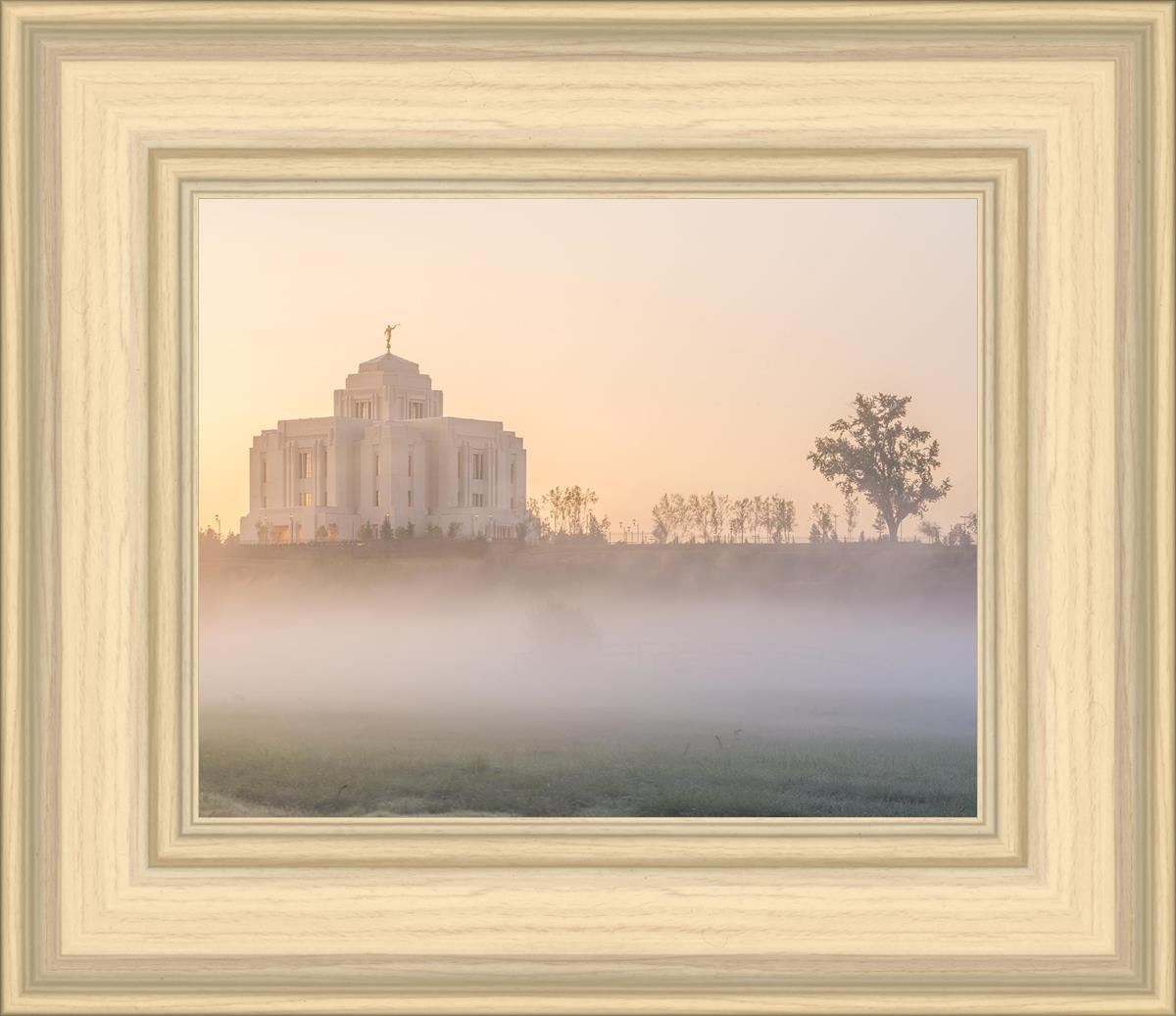 Meridian Morning Fog