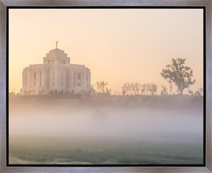 Meridian Morning Fog