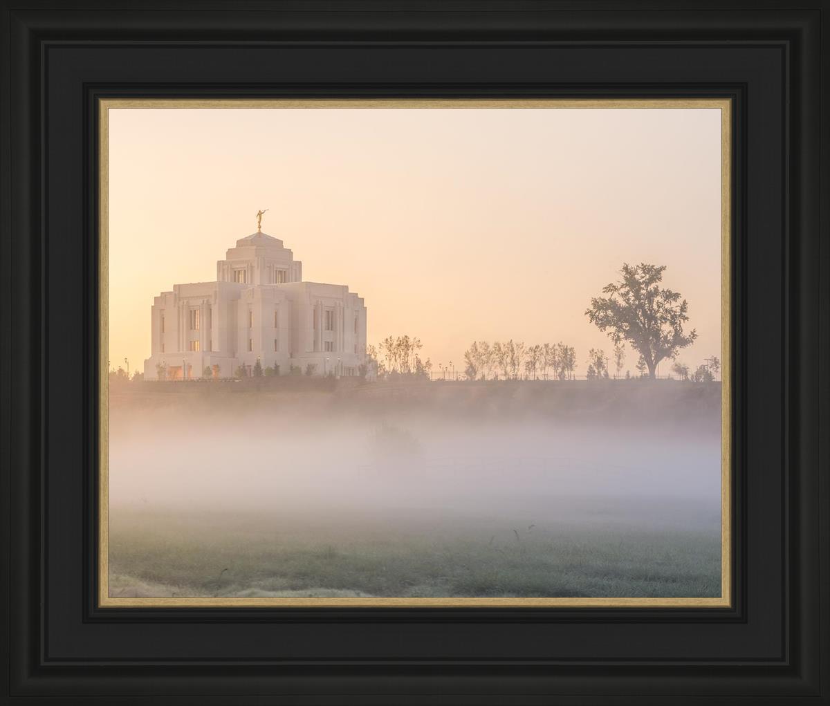 Meridian Morning Fog