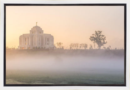Meridian Morning Fog
